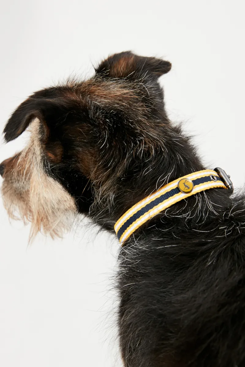 Joules Coastal Dog Collar Yellow and Navy-3